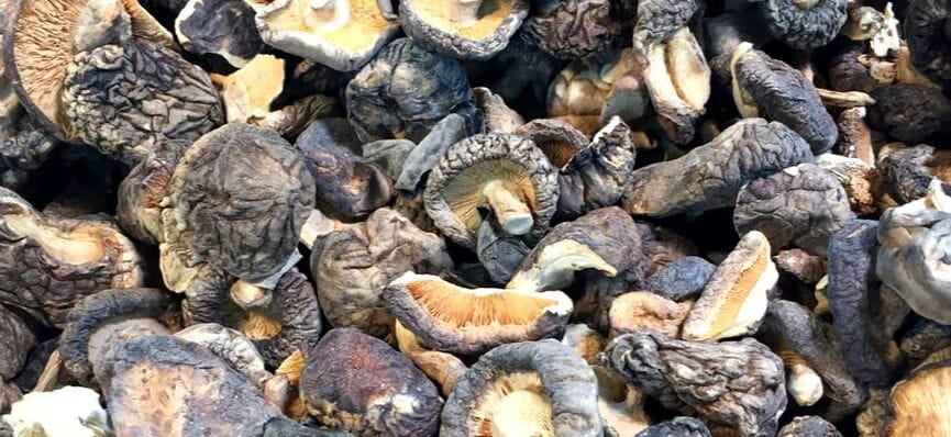 Dried Shiitake Mushroom (Adam, 2017)