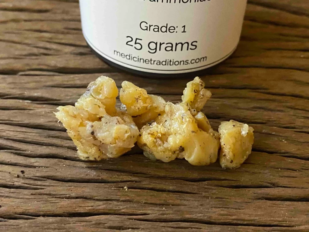 Gum Ammoniac 25 grams