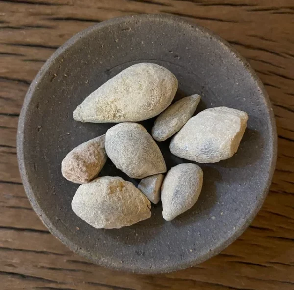 Lapis Judaicus 50 grams