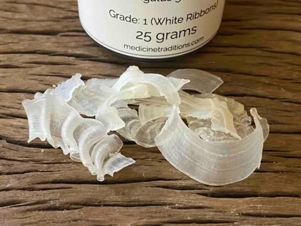 Gum Tragacanth 25 grams
